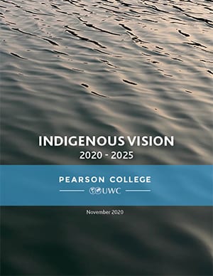 Indigenous Vision
