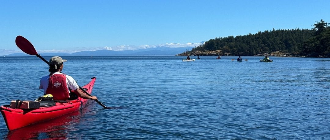 Comment: Back to (climate action) school