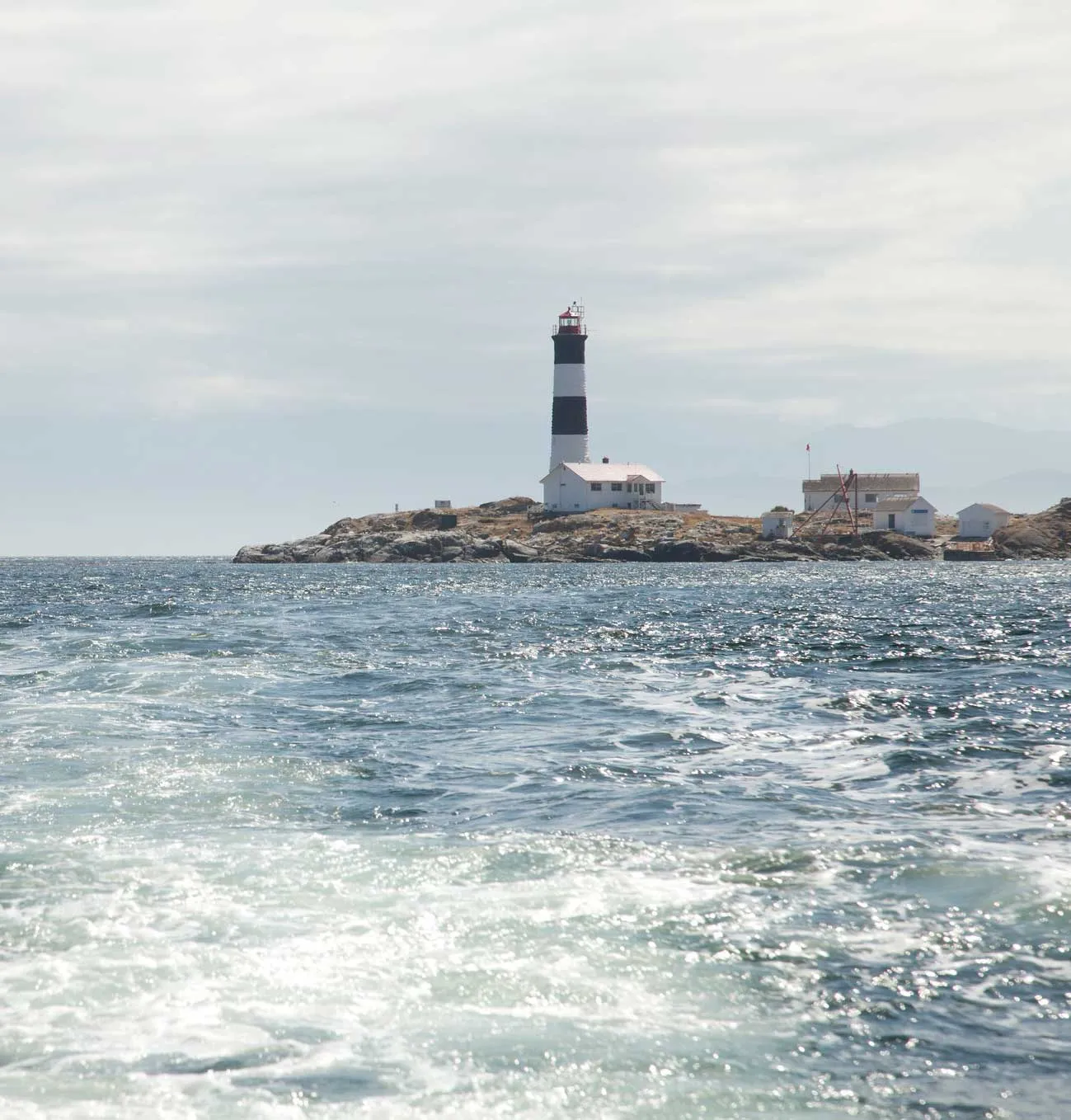 36851992813_18a4b3d288_k-web